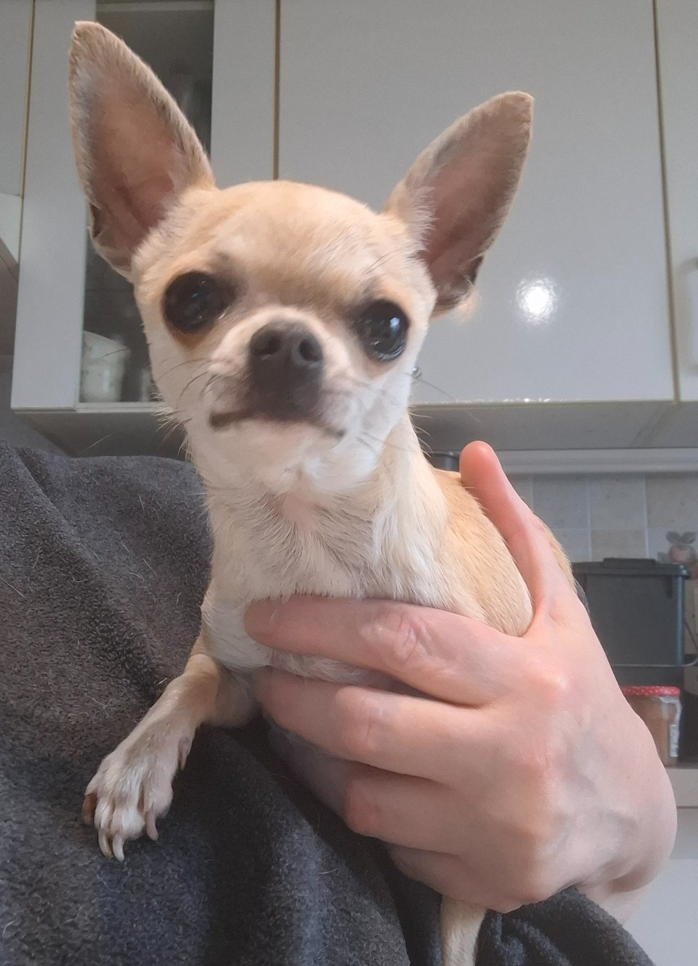 Vanina Riou De La Vallée Des Moulins